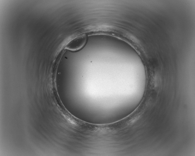 X0000066000978200603061319