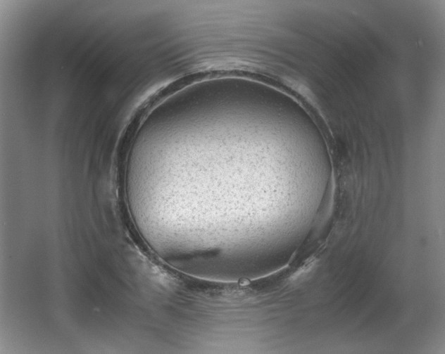 X0000066000979200603061319