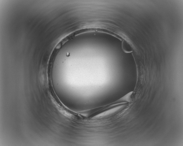 X0000066000980200603061319