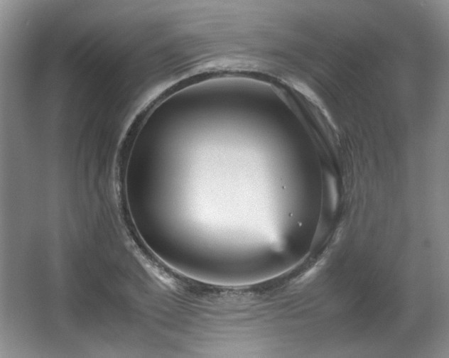 X0000066000981200603061319