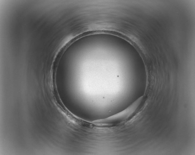 X0000066000982200603061319