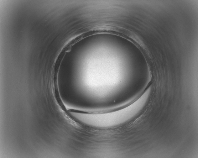 X0000066000984200603061319