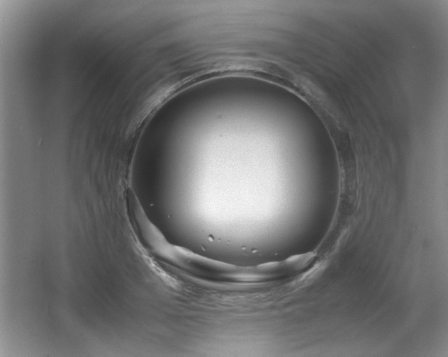 X0000066000985200603061319