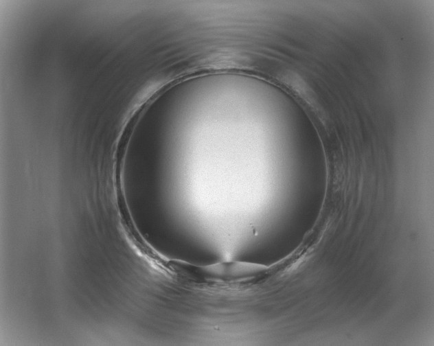 X0000066000986200603061319