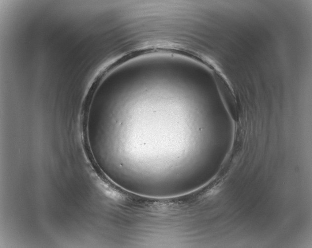 X0000066000987200603061319