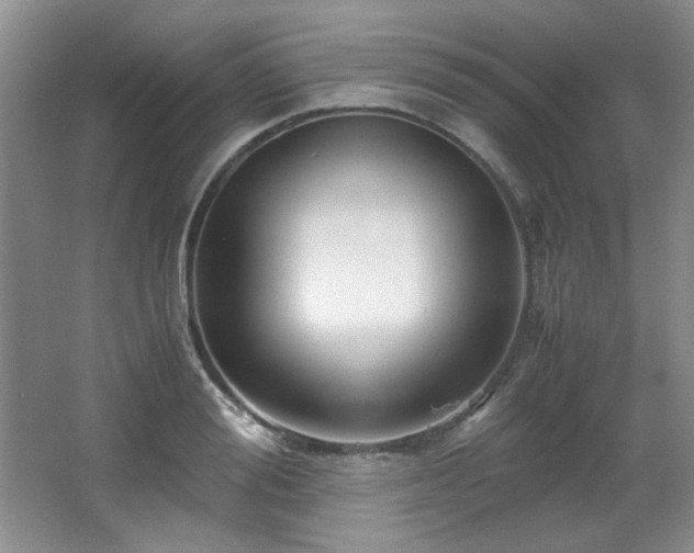 X0000066000988200603061319