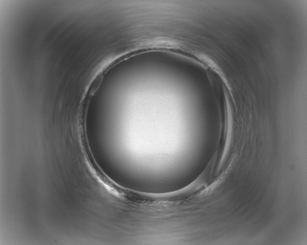 X0000066000989200603061319