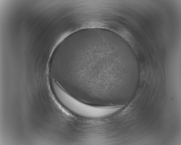 X0000066000990200603061319