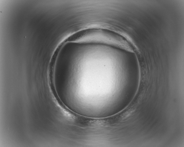 X0000066000991200603061319