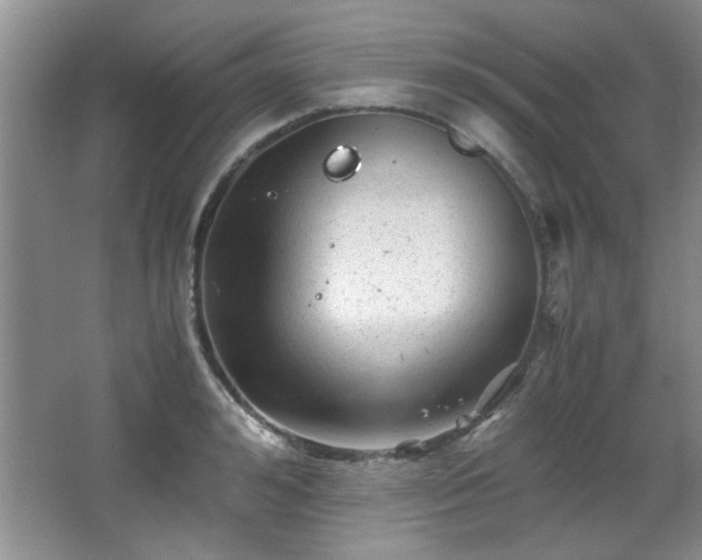 X0000066000992200603061319