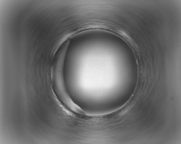 X0000066000993200603061319