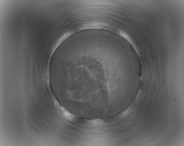 X0000066000994200603061319