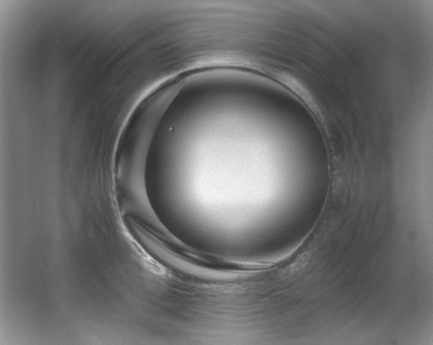 X0000066000996200603061319