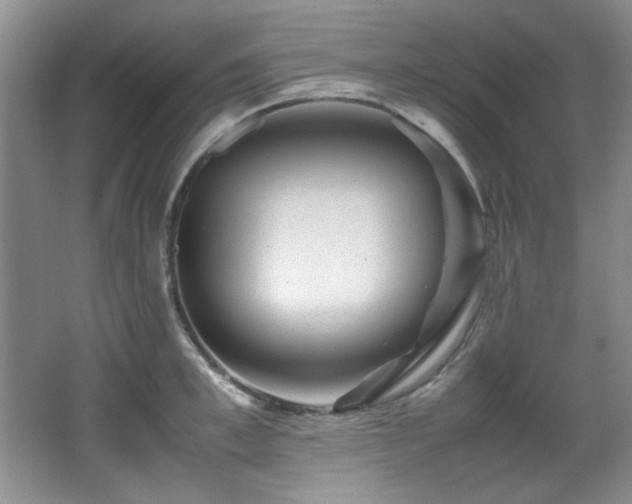 X0000066000997200603061319