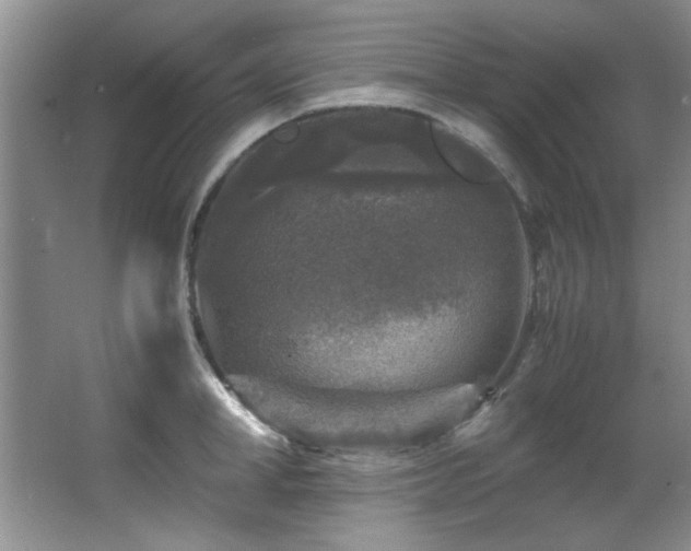 X0000066000998200603061319