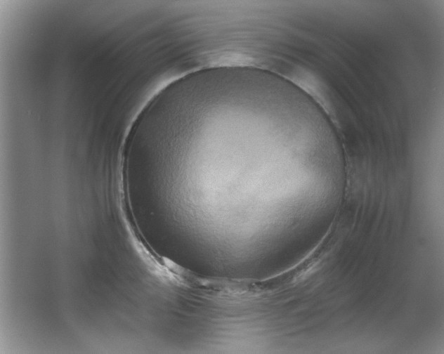 X0000066001000200603061318