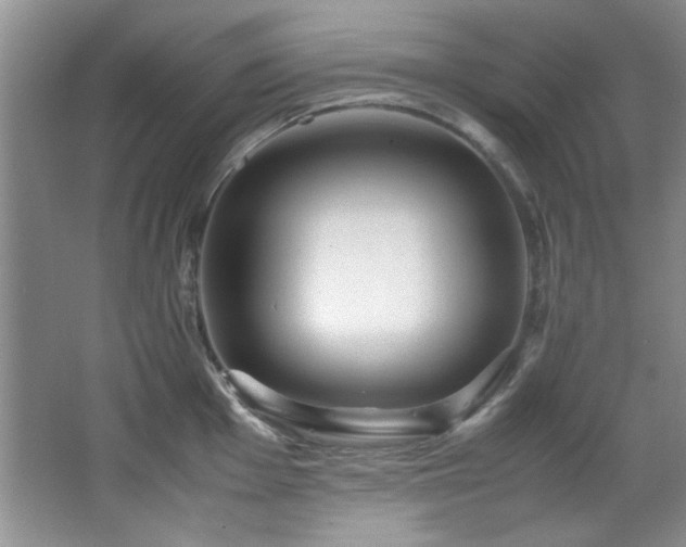 X0000066001001200603061318