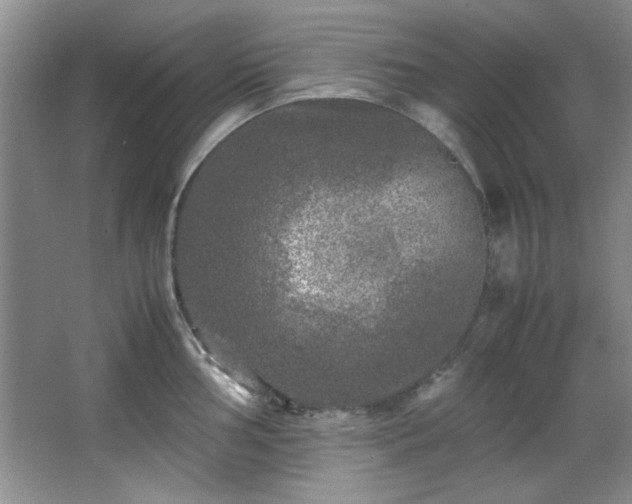 X0000066001002200603061318