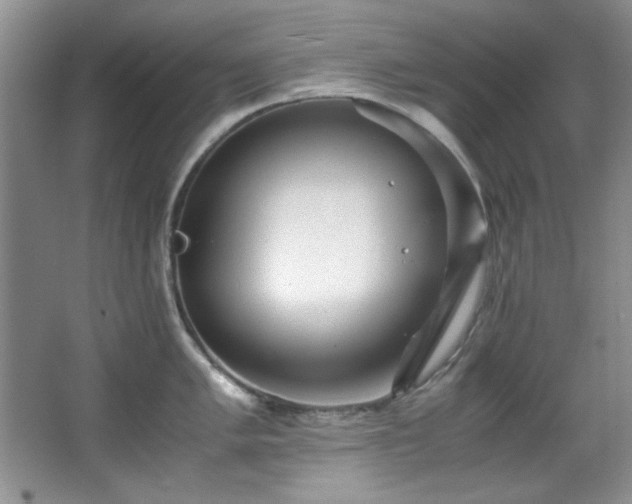 X0000066001005200603061318