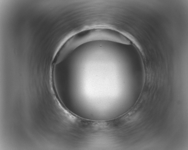 X0000066001006200603061318