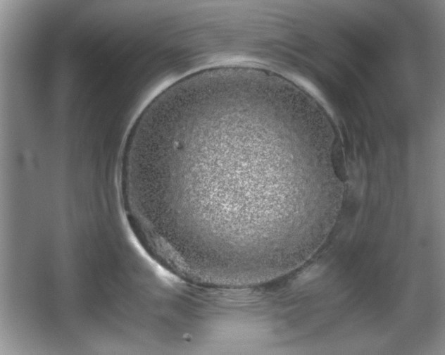 X0000066001007200603061318