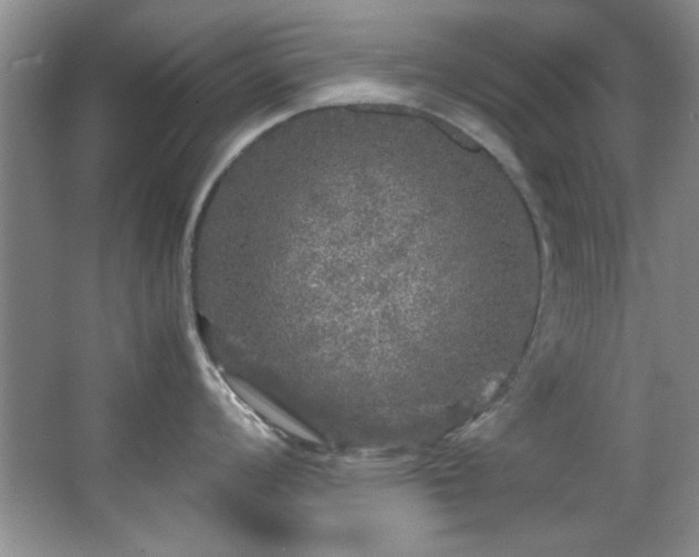 X0000066001008200603061318