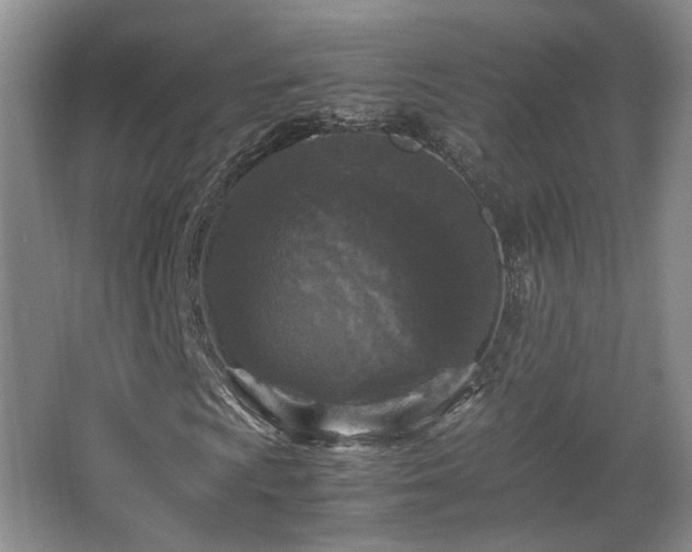 X0000066001009200603061318