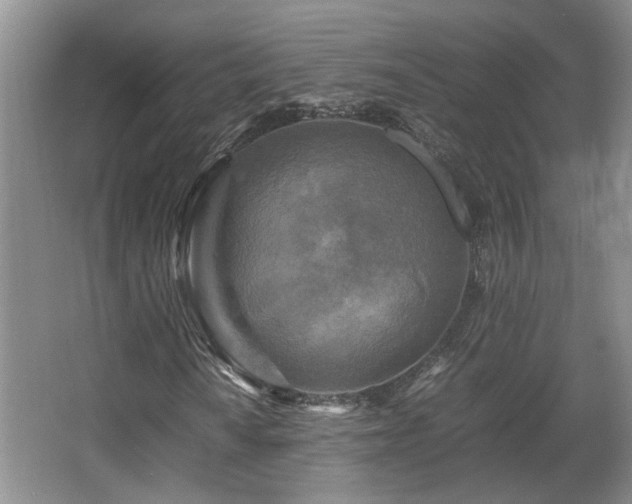 X0000066001010200603061318