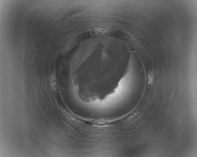 X0000066001011200603061318