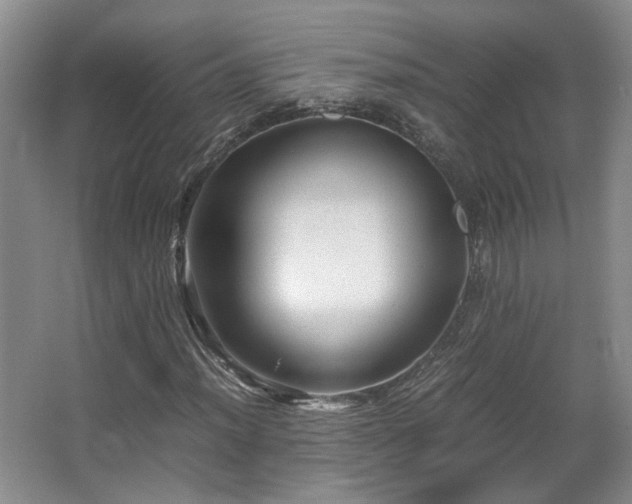 X0000066001012200603061318