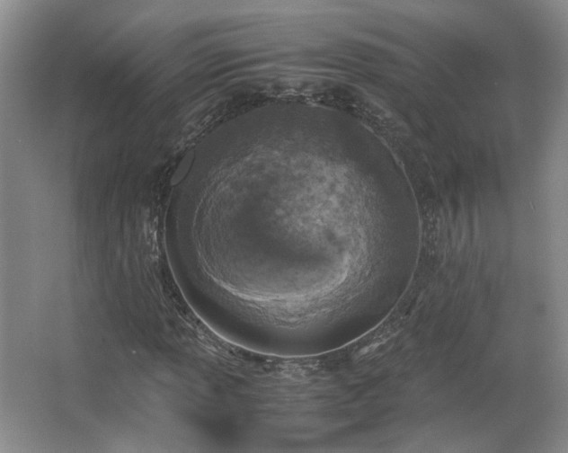 X0000066001013200603061318