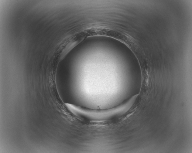 X0000066001014200603061318