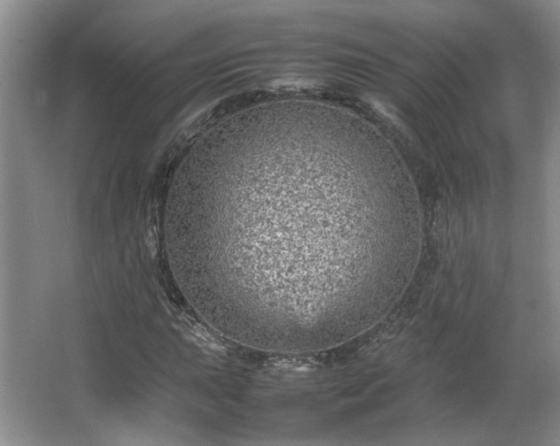 X0000066001015200603061318