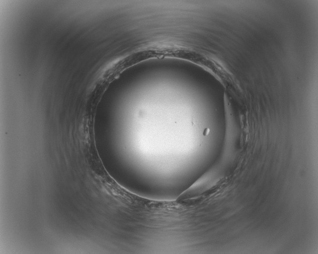 X0000066001016200603061318