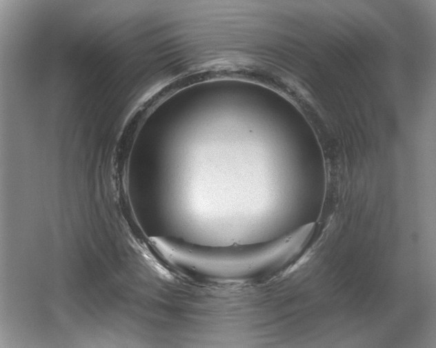 X0000066001018200603061318