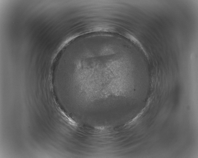 X0000066001019200603061318