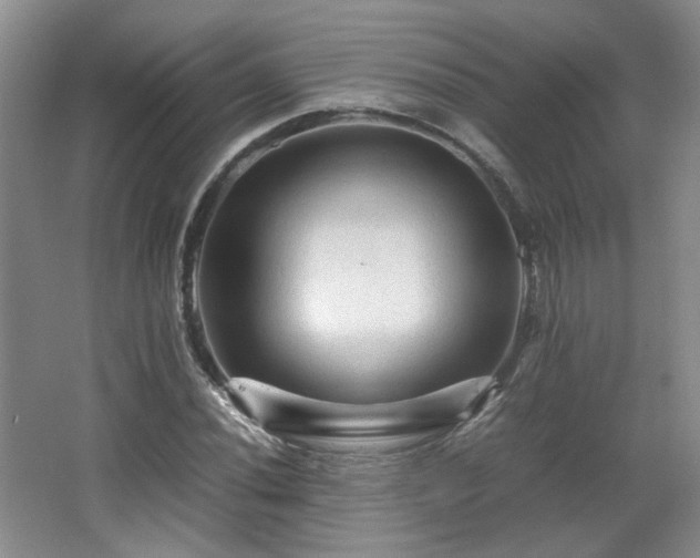 X0000066001020200603061318