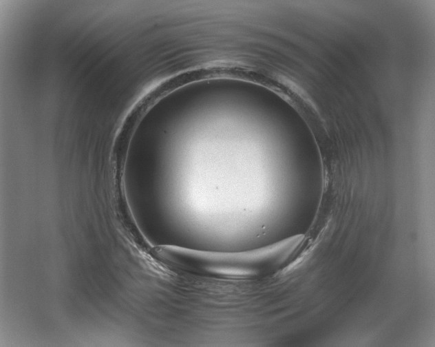 X0000066001021200603061318