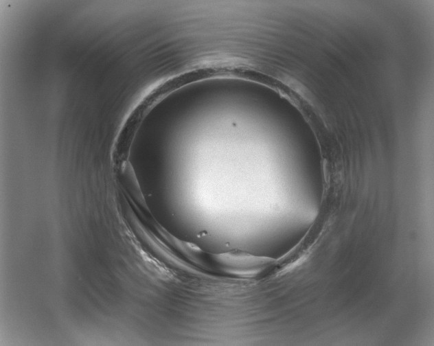 X0000066001022200603061318