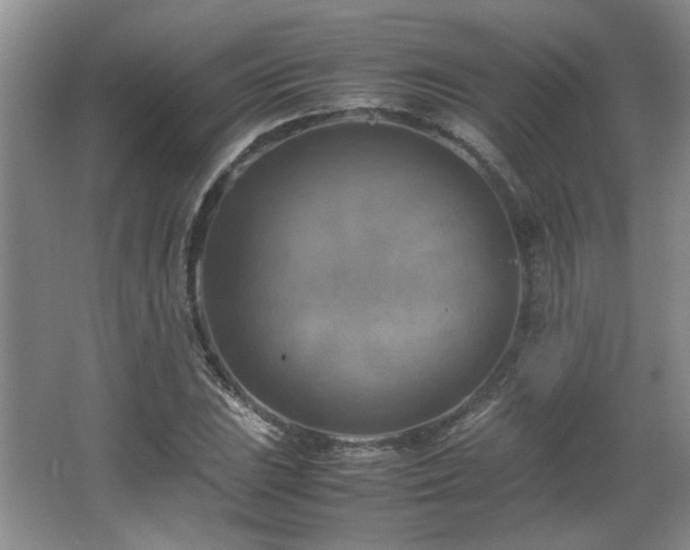 X0000066001023200603061318