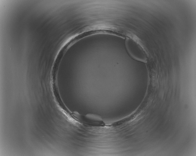 X0000066001024200603061318