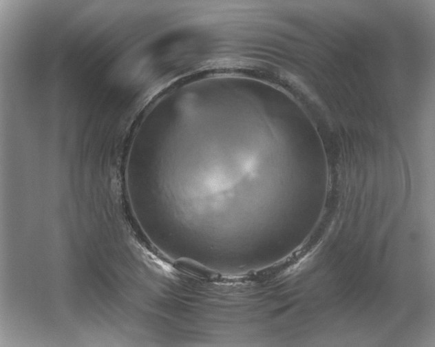 X0000066001025200603061318