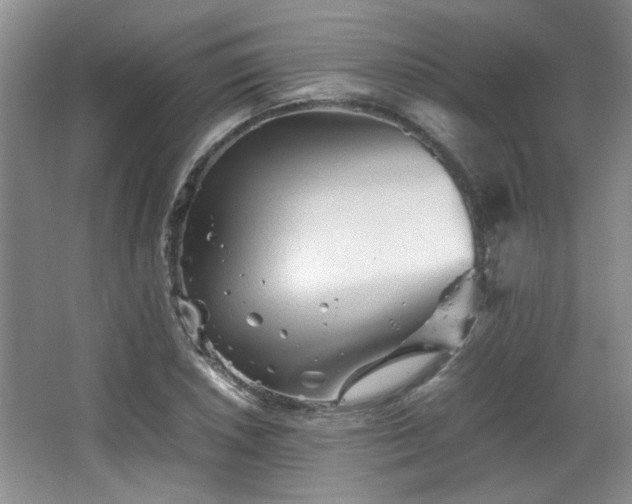 X0000066001026200603061318