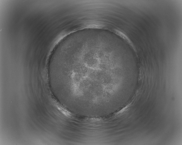 X0000066001027200603061318