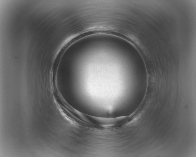 X0000066001030200603061318