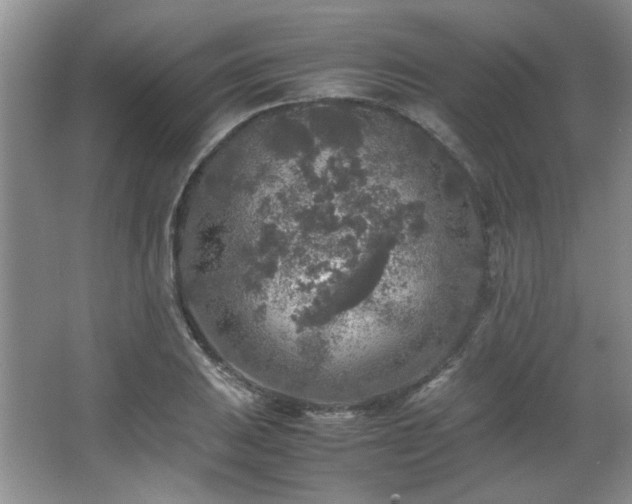 X0000066001031200603061318