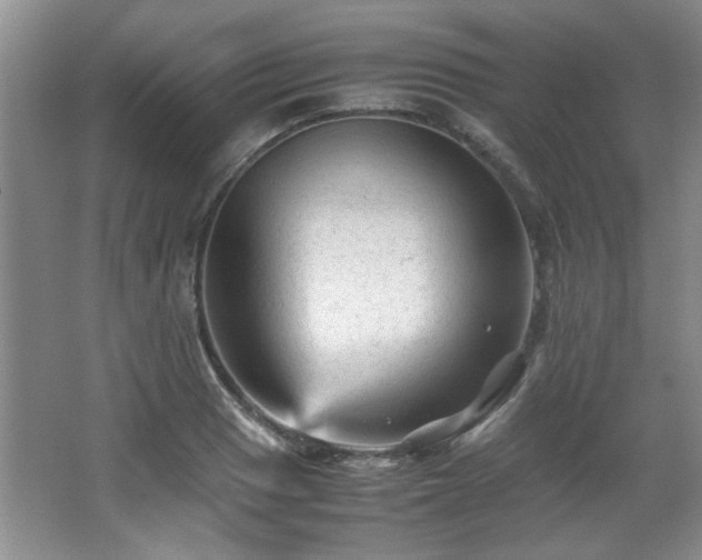 X0000066001033200603061318