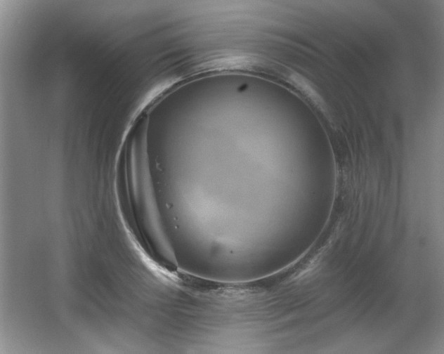 X0000066001034200603061318