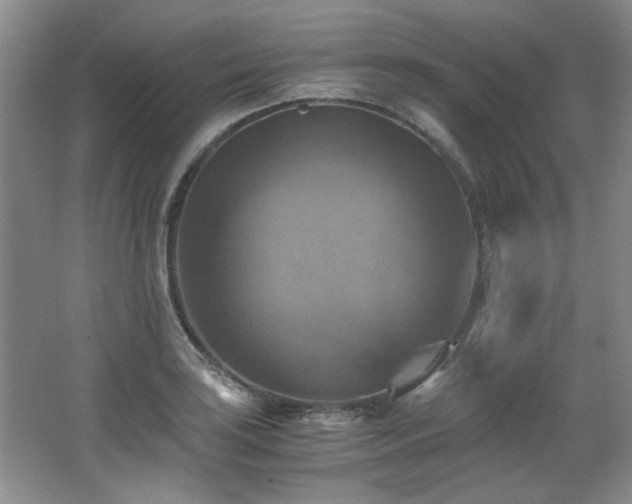 X0000066001035200603061318