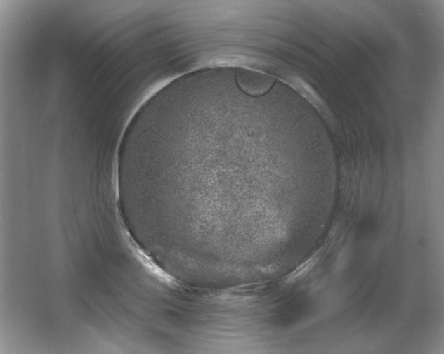 X0000066001036200603061318